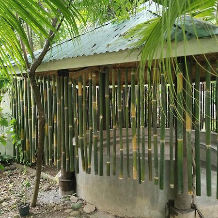 La Vida Hostel Samal Island Exterior photo
